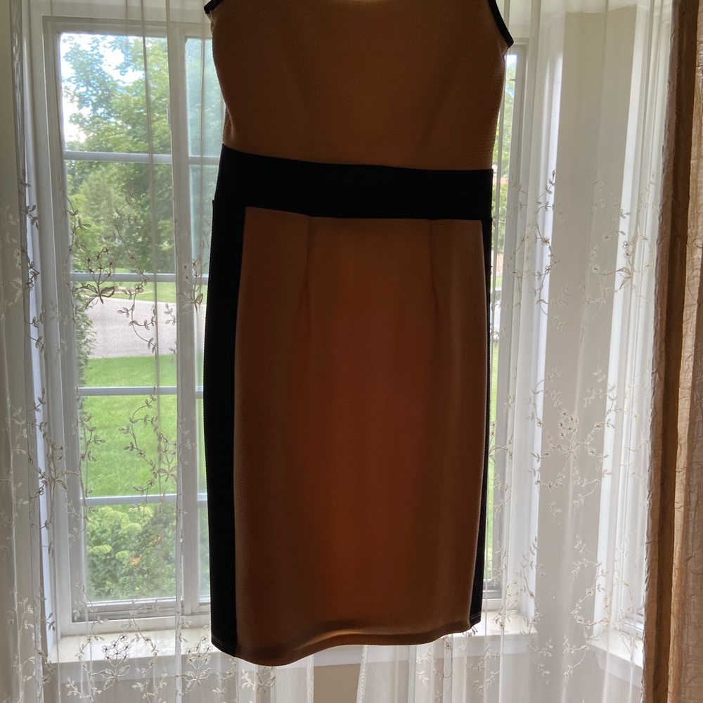 Women (plus size) Tan with Black Trim Dress - Picture 6 of 9
